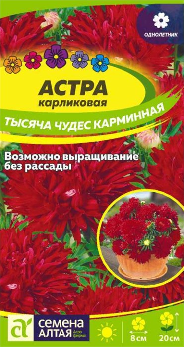 Астра Тысяча чудес карминная карликовая 0,15-0,2гр СА