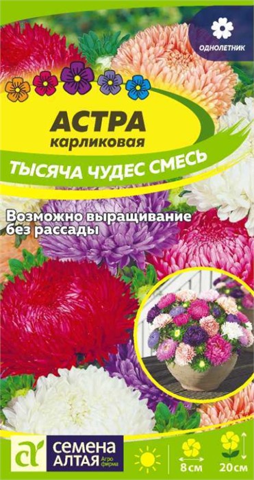 Астра Тысяча чудес смесь карликовая 0,15-0,2гр СА
