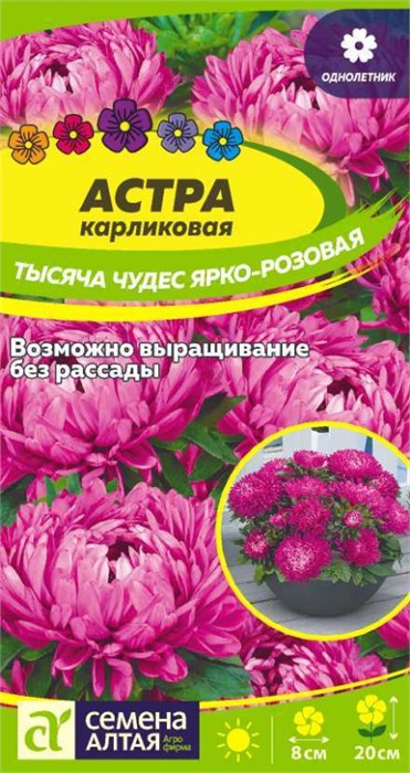Астра Тысяча чудес ярко-розовая карликовая 0,15-0,2гр СА
