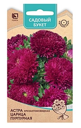 Астра Хризантемовидная Царица Пурпурная 0,1гр Поиск