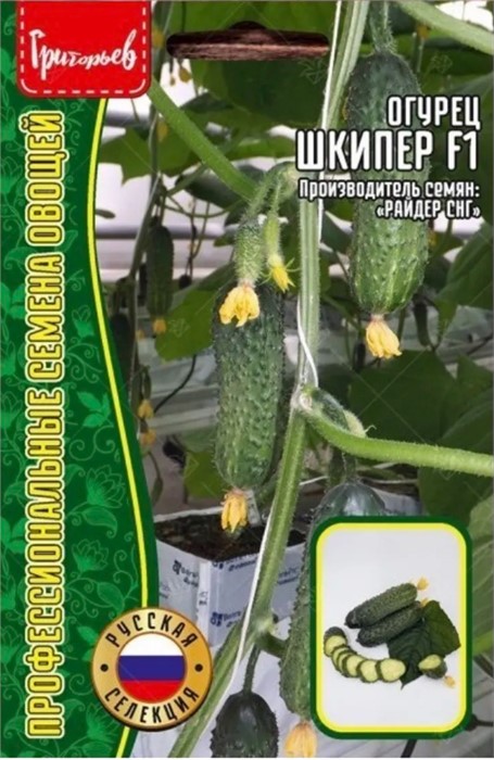 Огурец Шкипер F1 20шт Редкие семена