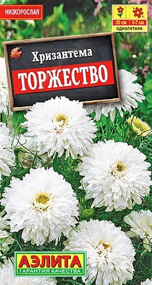 Хризантема Букетная торжество 0,1гр Аэлита