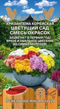 Хризантема Цветущий Сад корейская смесь(Премиум Сидс)