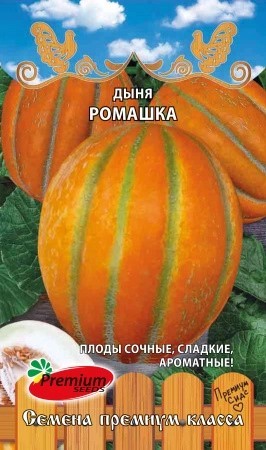 Дыня Ромашка 5шт Премиум
