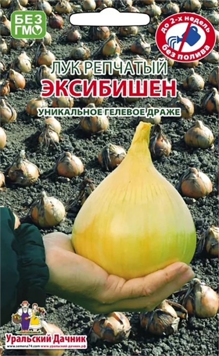 Лук репчатый Эксибишен 0,2гр УР.дачник