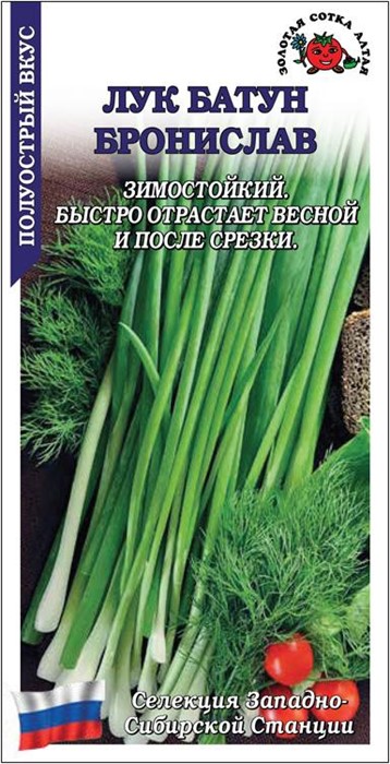 Лук батун Бронислав (Золотая сотка Алтая)