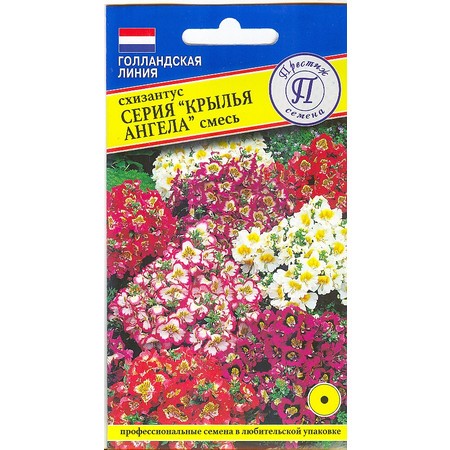 Схизантус Крылья ангела Престиж