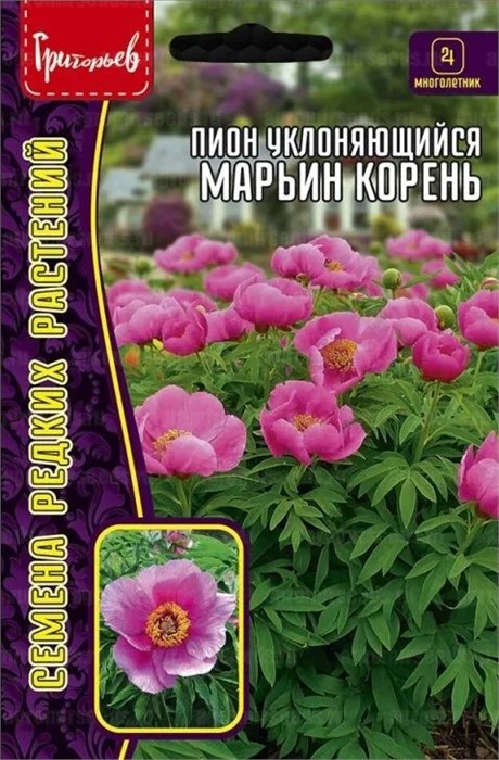 Пион Марьин Корень уклоняющийся 5шт Григорьев