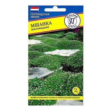 Мшанка шиловидная Престиж