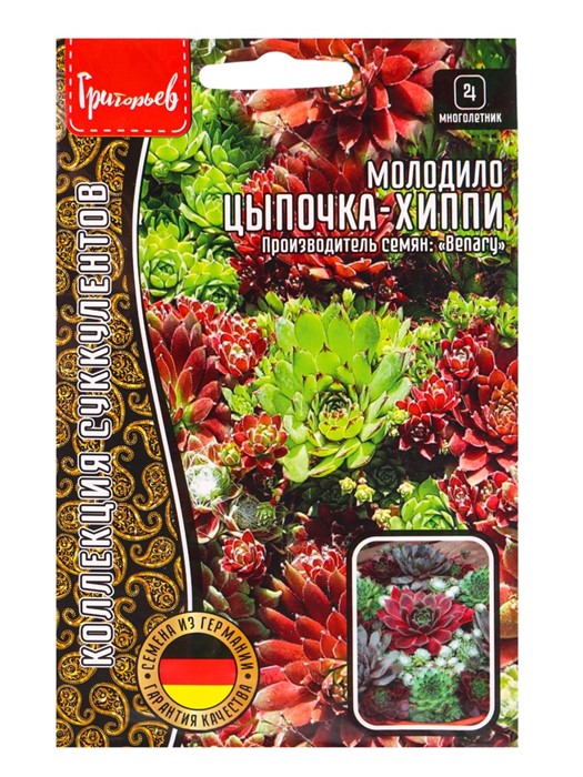 Молодило Цыпочка Хиппи смесь 5др Григорьев