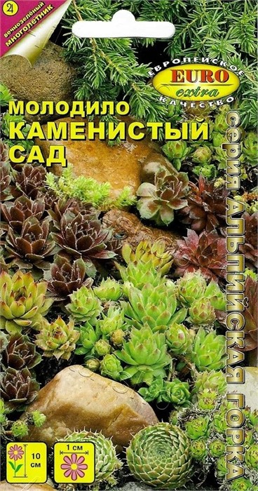 Молодило Каменистый сад 0,005гр Аэлита