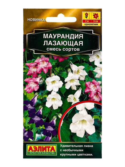 Маурандия лазающая смесь сортов 5шт Аэлита