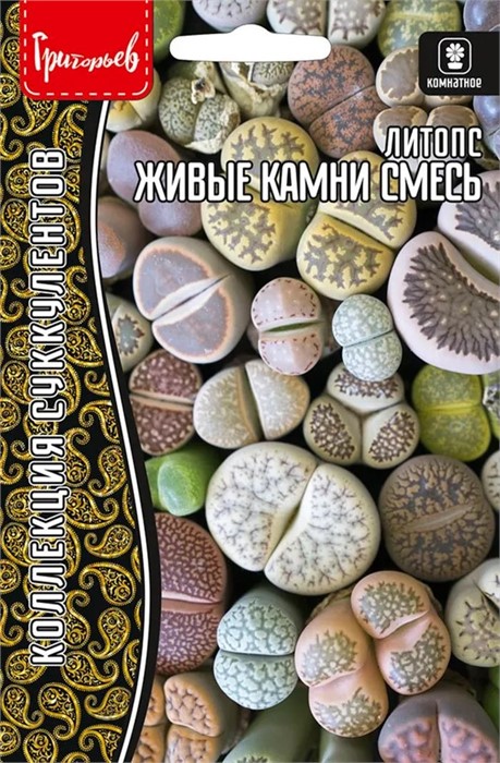 Литопс Живые Камни смесь 4 шт Григорьев