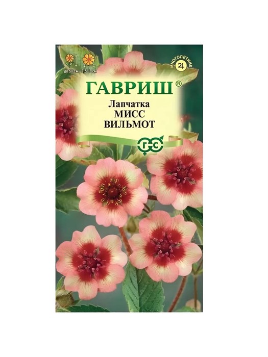 Лапчатка Мисс Вильмот (непальская)* 0,01 г (Гавриш)