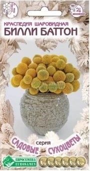 Краспедия шаровидная Билли Баттон, 0,05 гр (ЕС)