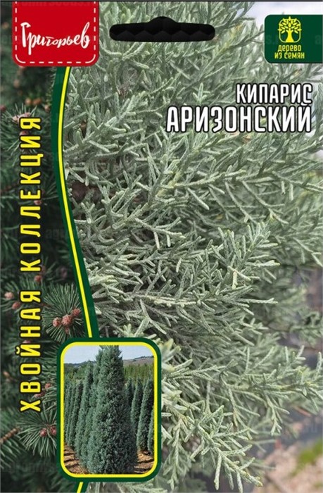 Кипарис Аризонский 0,1г Ред.Сем