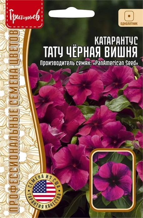 Катарантус Тату чёрная Вишня 3шт Григорьев