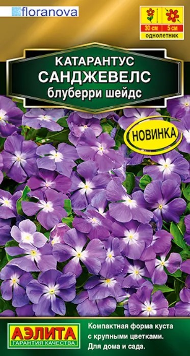 Катарантус Санджевелс блуберри шейдс 7шт Аэлита