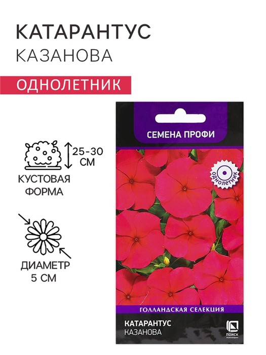 Катарантус Казанова 10шт Поиск