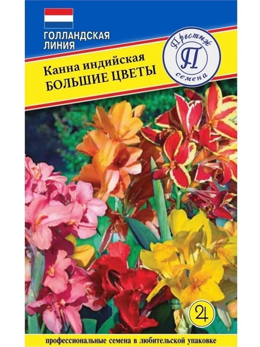 Канна индийская Большие цветы 3шт Престиж