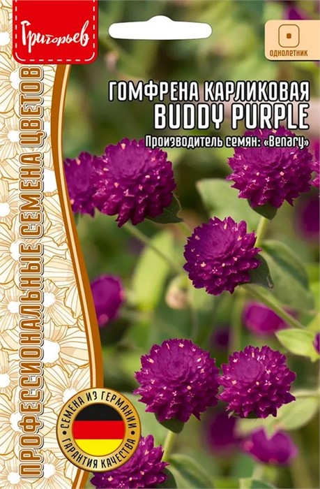 Гомфрена Buddy Purple шаровидная карлик 5шт Григорьев
