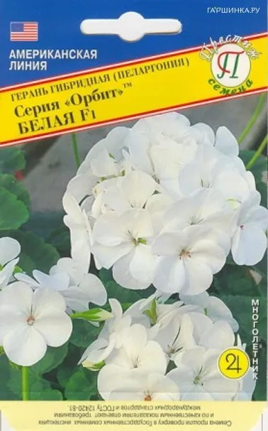 Герань Орбит Белая гибрид 5шт