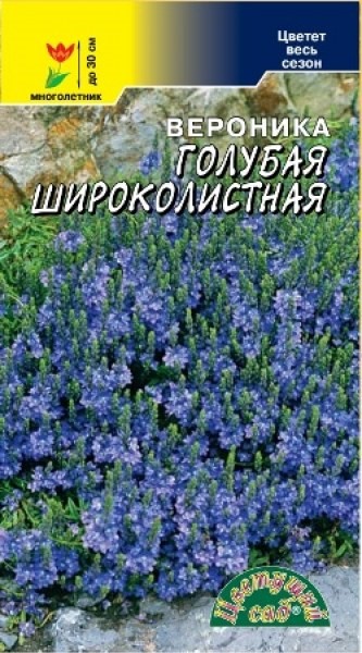 Вероника Голубая Широколистная(Цв сад)