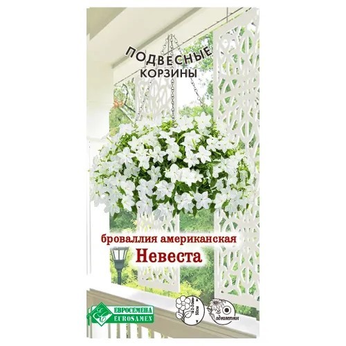Броваллия Невеста американская(Евро Б)