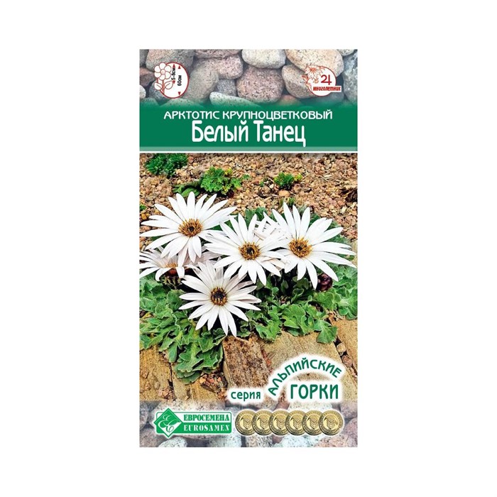 Арктотис Белый Танец крупноцветковый 10шт Евросем