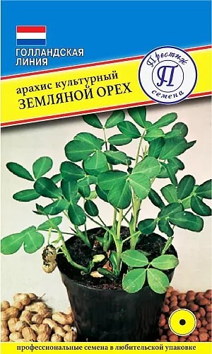 Арахис культурный(земляной орех) Престиж