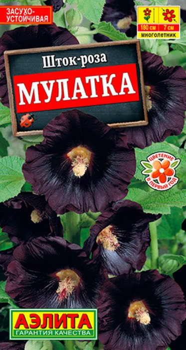 Шток-роза Мулатка 10шт Аэлита