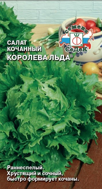 Салат Королева льда 0,5гр Седек