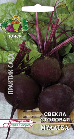 Свекла Мулатка 3гр Поиск