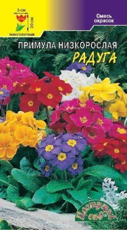 Примула Радуга смесь низк. ЦветСад