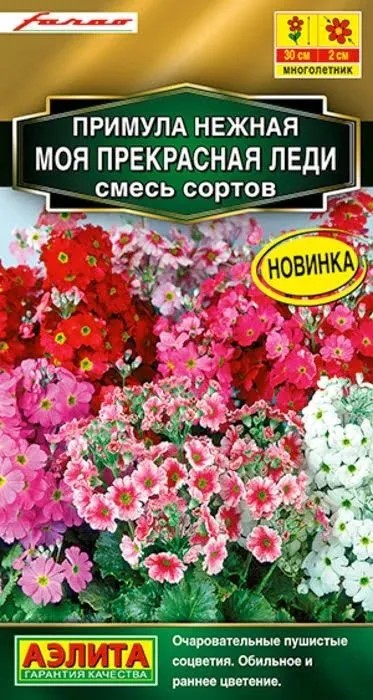 Примула Моя прекрасная леди, смесь сортов 7шт Аэлита
