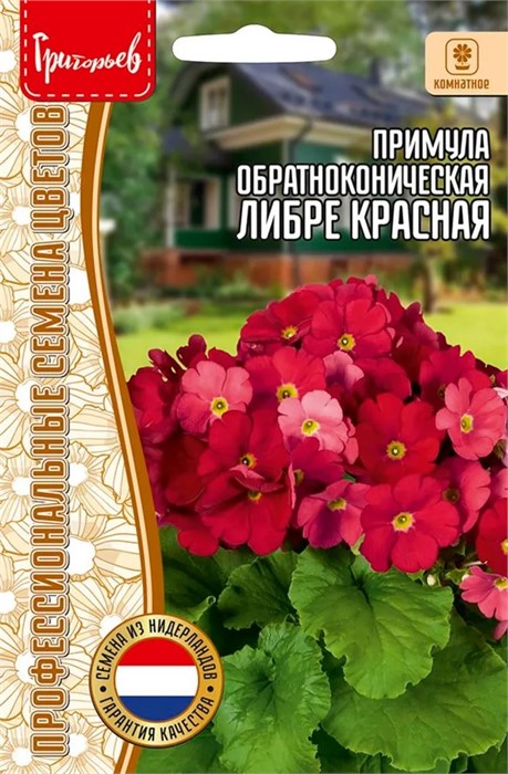 Примула Либре Красная обратноконическая 4шт Григорьев