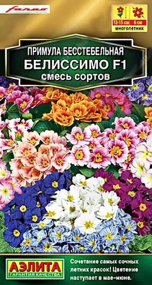 Примула Белиссимо F1 смесь окрасок 7шт Аэлита