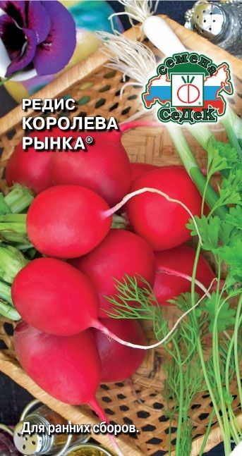 Редис Королева Рынка 3г Седек