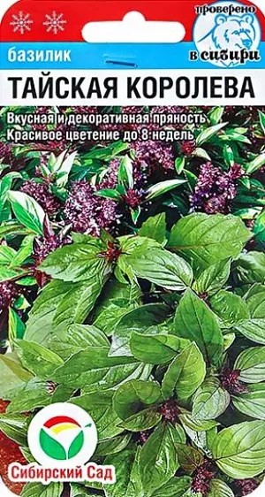 Базилик Тайский зеленый 0,5г (Сиб Сад)