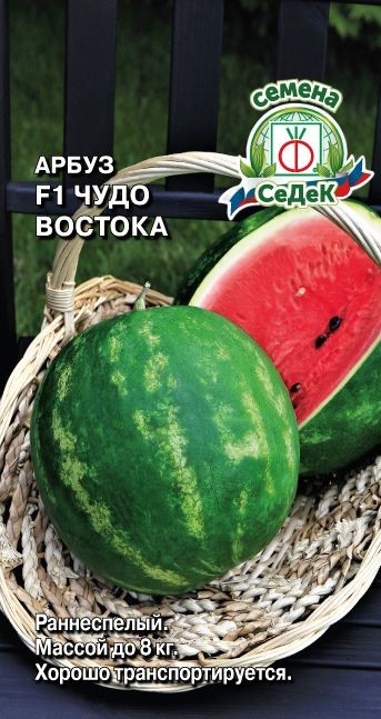Арбуз Чудо Востока F1 Седек