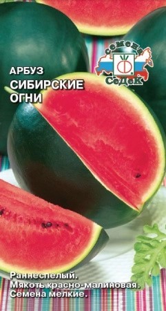 Арбуз Сибирские Огни Седек