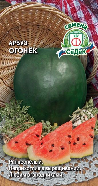 Арбуз Огонек Седек