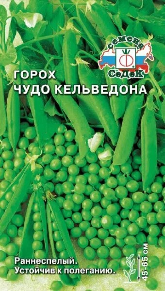 Горох Чудо Кельведона 8г Седек