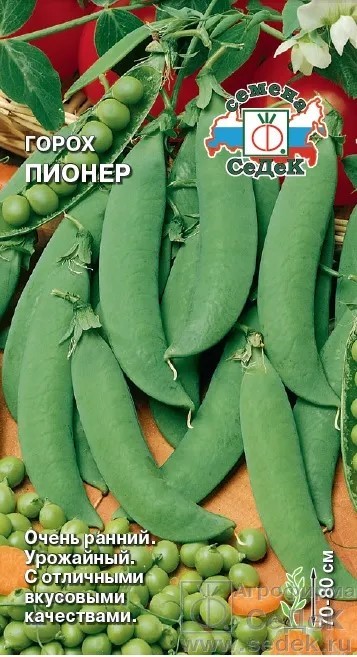 Горох Пионер Седек