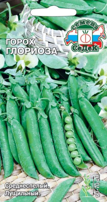 Горох Глориоза Седек