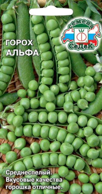 Горох Альфа Седек