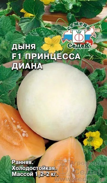 Дыня Принцесса Диана F1 Седек