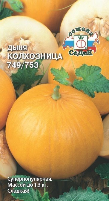 Дыня Колхозница 749/753 0,5г Седек