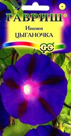 Ипомея пурпурная Цыганочка 0,5гр ГШ