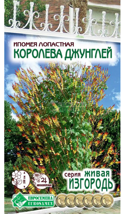Ипомея лопастная Королева Джунглей, 0,3 гр (ЕС)
